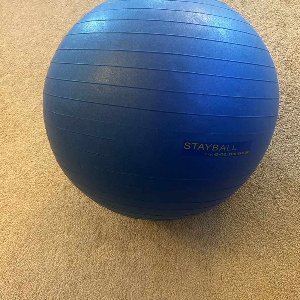 Gold’s Gym 65 cm weighted anti-burst Blue StayBall